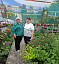 Саратовских подростков увлекут профессиями овощевода и биоинженера